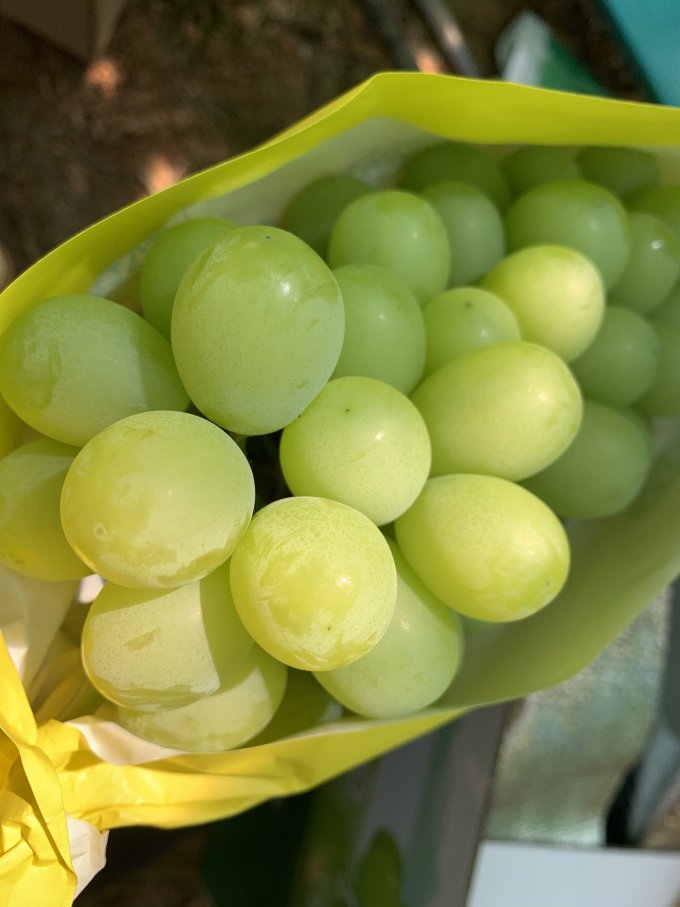 阳光青提,吃一次想一次!