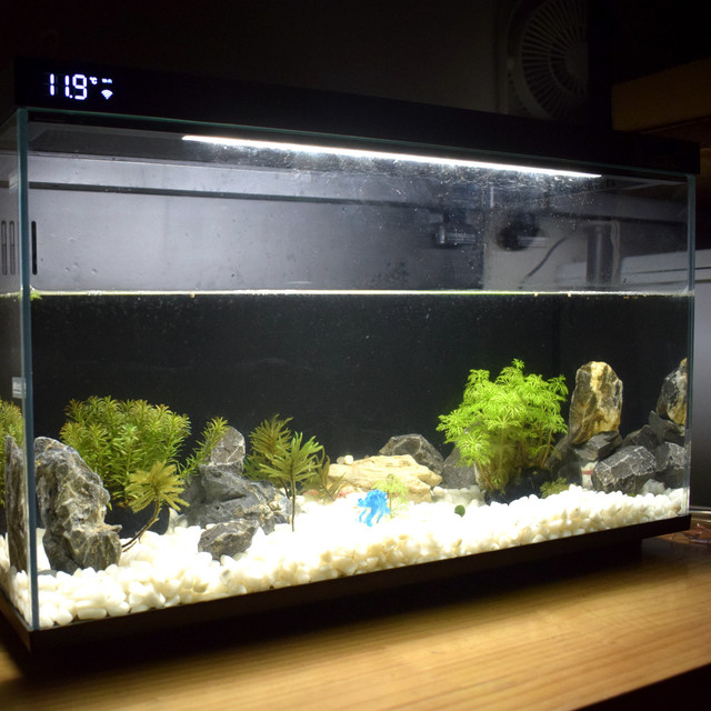 换水换鱼不如换鱼缸，当贝鱼缸1Ultra让我当了甩手掌柜