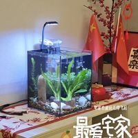 桌面鱼缸30+全套推荐给值友们