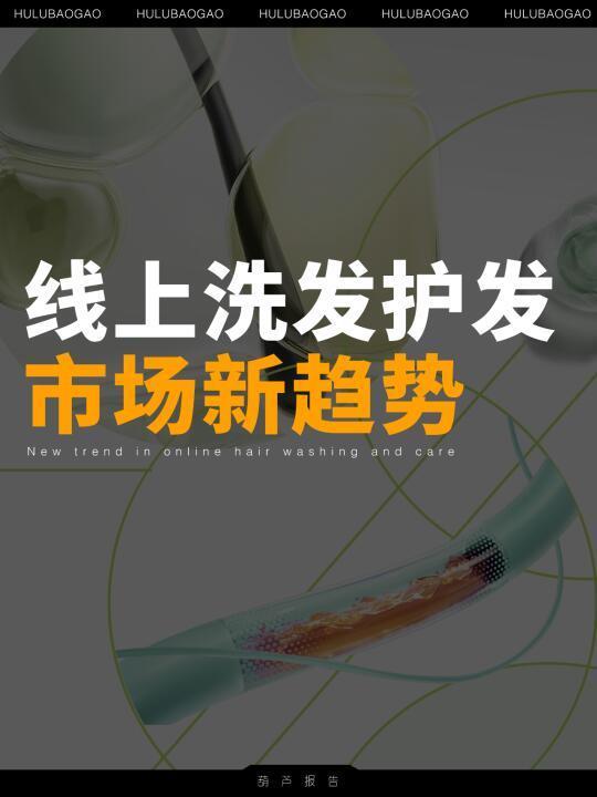 22P|2024线上洗发护发市场新趋势与机遇