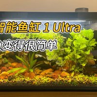 当贝智能鱼缸1 Ultra，轻轻松松让你成为养鱼达人