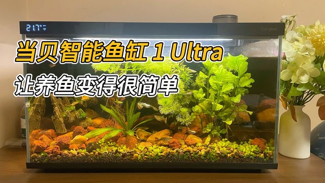 当贝智能鱼缸1 Ultra，轻轻松松让你成为养鱼达人