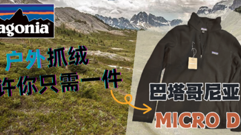 Patagonia 抓绒の典范 Micro D🐹主观评测