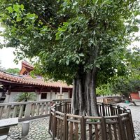 大开元寺旅游