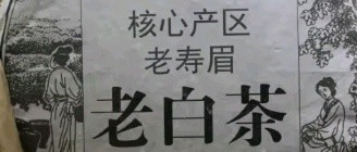 《品大师传人福鼎老白茶，悟岁月沉淀之香》
