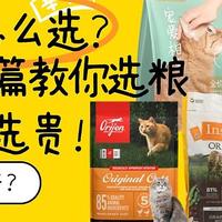 猫粮怎么选？进口or国产？看完这篇教你选粮选对不选贵！