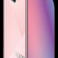 OPPO PKV110 手机证件照公示，电池额定容量 5640mAh