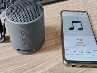 索尼SRS-XB100 蓝牙音箱 音响 迷你便携 重低音16小时续航