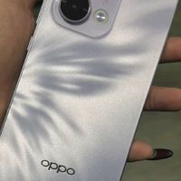 OPPO Reno13 12GB+256GB 蝶蝶紫 超美小直屏 AI高清实况照片 