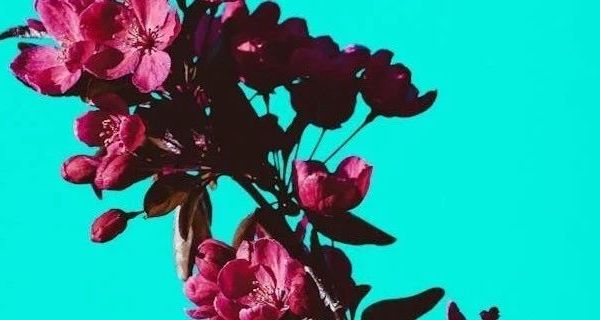 男士冬季棉服选购指南及常见问题解答