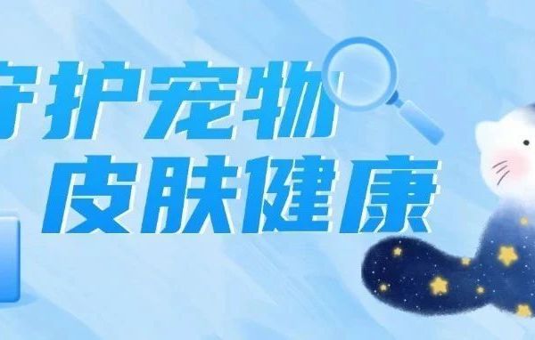 如何全方位守护爱宠肌肤健康？