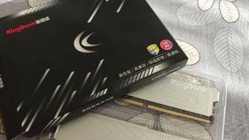 金百达（KINGBANK）32GB(16GBX2)套装 DDR4 3200 台式机内存条 银爵 C16 适配黑神