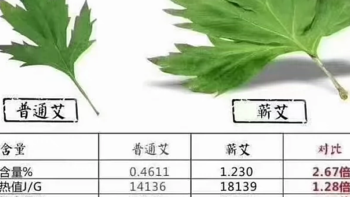 王老师家蕲艾条艾柱 抖音同款 为什么选择王老师艾条？