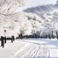 东北雪景，你心动了吗？