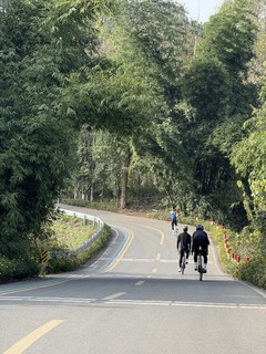 解锁新路线：黄龙溪象耳寺小环线