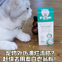 猫咪受伤流脓铲屎官问的处理？