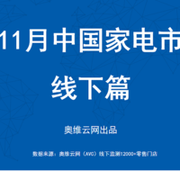 2024年11月线下家电市场总结