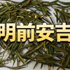 茶叶测评 篇零：宋品明前特级安吉白茶测评，看看品质怎么样