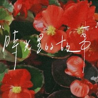 24年种花经历分享：海棠花的养护乐趣🌺花草温柔相伴, 宁静绵绵