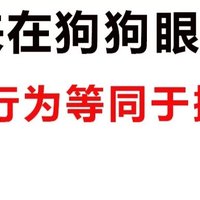 在狗狗眼里，哪些行为等于被抛弃