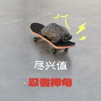 别人出门遛狗，我出门溜龟🐢