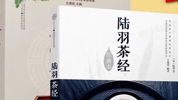 2024年我与茶艺的不解之缘，从入门到精通的每一步心得分享。