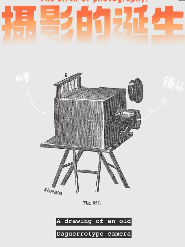 2024年摄影艺术探索之旅