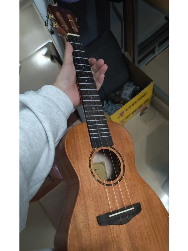 尤克里里：我的音乐新宠之旅