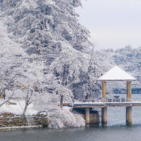 被低估的赏雪宝藏！冰瀑、滑雪、雾凇、温泉...不用去尔滨