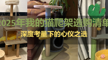 2025年我的猫爬架选购清单：深度考量下的心仪之选