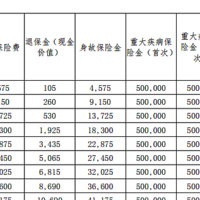 工银安盛人寿御享人生重大疾病保险(龙腾版)怎么样？条款+案例