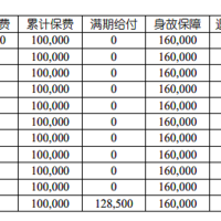 国寿福泽E泰两全保险（互联网专属）怎么样？条款+案例