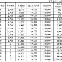 国寿康宁惠享终身重大疾病保险（2024版）怎么样？条款+案例