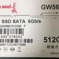 长城 GW560 系列 SSD：数据存储的强劲引擎