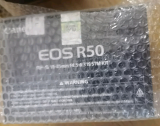 我的 2025：与佳能 EOS R50 相伴