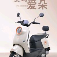 2025年购物清单～～买一辆爱玛电动车