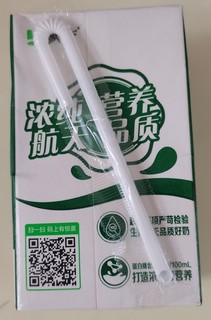 在家自制咸味新疆奶茶