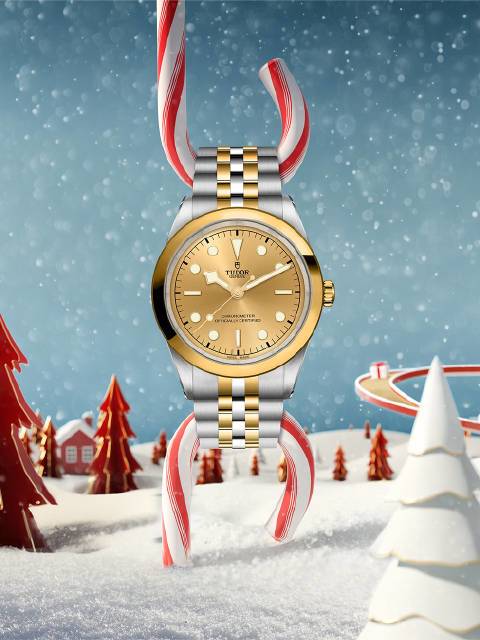 精致弧形表壳搭配磨光黄金表圈，#帝舵碧湾型#31/36/39/41黄金钢款腕表将优雅融入每个瞬间。了解更多：网页链接#帝舵表# #天生敢为# TUDOR帝舵的微博视频