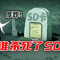 SD卡9.1标准挣扎之下 谁是最大推手？