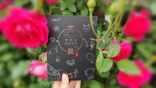 2025年购物愿望清单，竹林鸟花鼓骨传导蓝牙耳机 ，运动必备神器