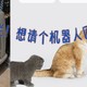 我想给猫猫添置个小佩宠物智能厕所，因为它们的厕所又塌方！