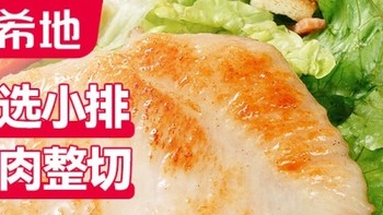 大希地香煎鸡排鸡胸肉 800g 嫩煎小鸡排80g*10袋