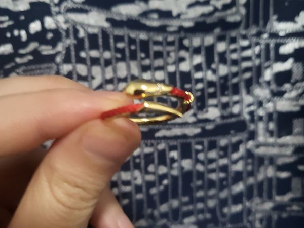 是谁还还有这个本命年小蛇蛇？也太好看了吧！