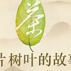 六类法分茶，其实就按照发酵程度来划分的，发酵是一门学问