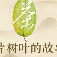 六类法分茶，其实就按照发酵程度来划分的，发酵是一门学问