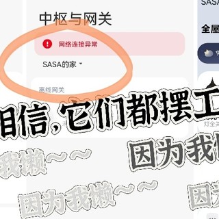 嗯，来自懒鬼吐槽式分享——自家的智能家居