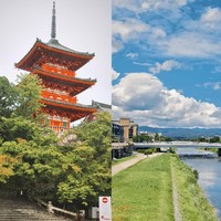 第一次去京都，这条3日路线直接抄❗京都3日经典路线，跟着这篇玩就对啦！