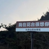 九华山确实是一个让人心神安宁的地方