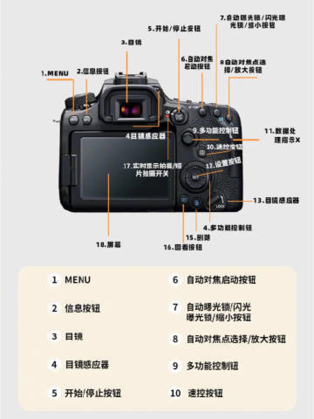 相机选购与摄影技巧全攻略，佳能、尼康、索尼、富士入门指南