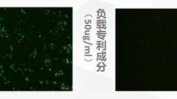 圣诞节焕采攻略：麦角硫因加持华妍光钥，开启多维光防护